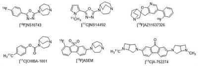 The Availability of the α7-Nicotinic Acetylcholine Receptor in Early Identification of Vulnerable Atherosclerotic Plaques: A Study Using a Novel 18F-Label Radioligand PET